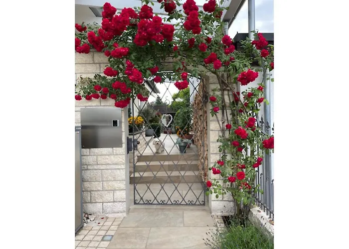 Zur Imme דירה לינדאו